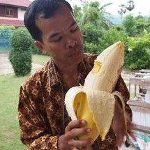 国产成人大香蕉,探索国产成人影视的崛起与魅力